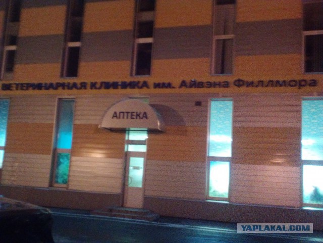 Ненужный пёс