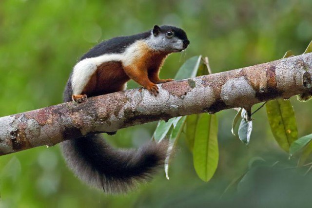 Картинки из сети (07.04.16)