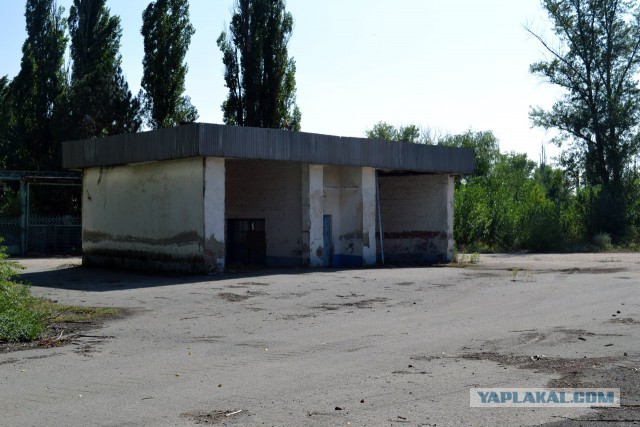 Семикаракорский консервный завод