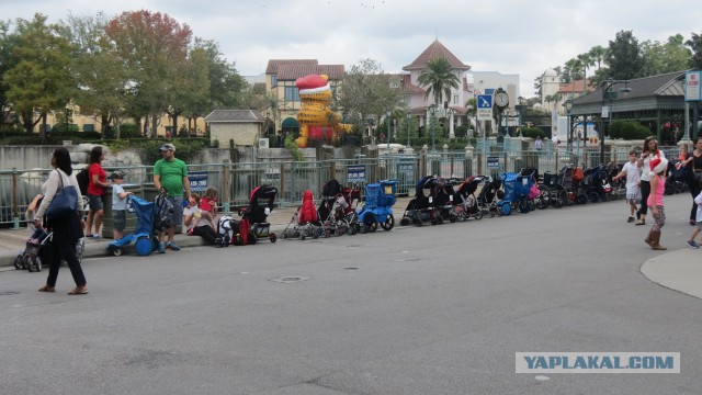 Флорида.Орландо.