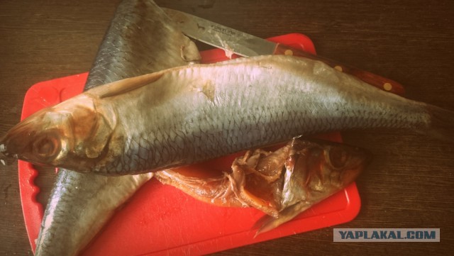 Фастфуд-пикник на день рождения ЯПа