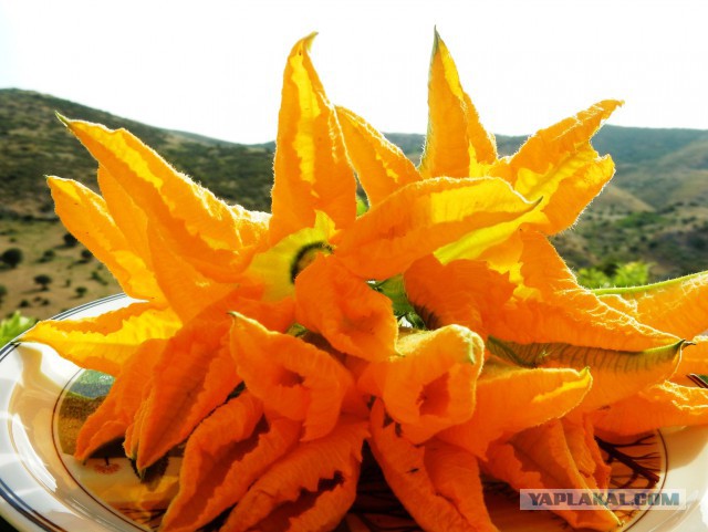 Готовят наши дети и мы готовим для детей.