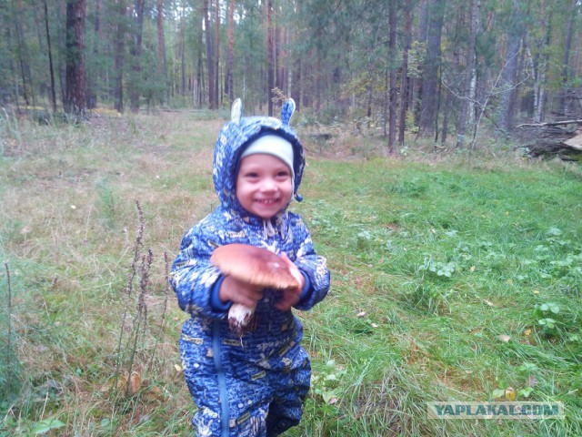 Фотоохота грибника