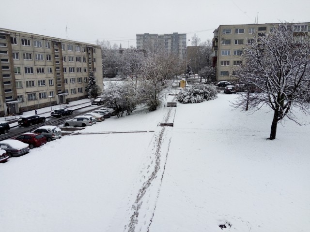 Завтра на дачу, говорили они...