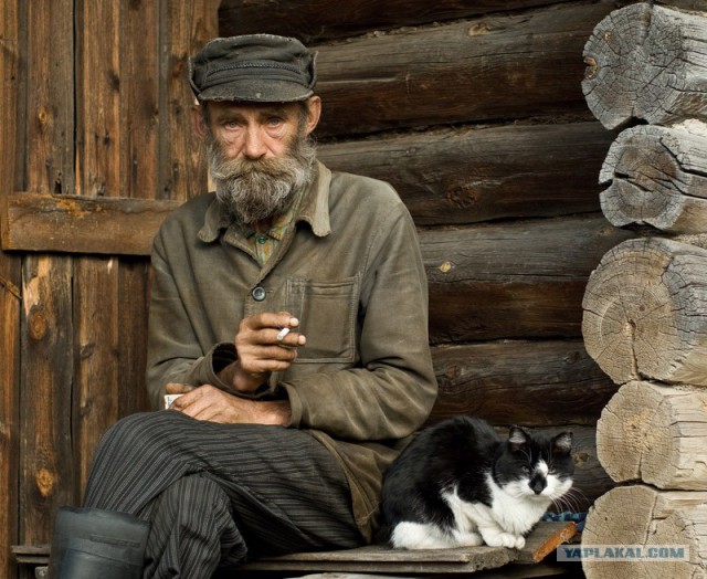 Причёсывание