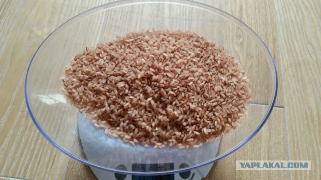 Продам Пчаки