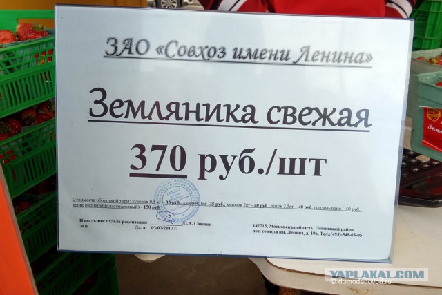 Президентские выборы 2018 года. Опрос.