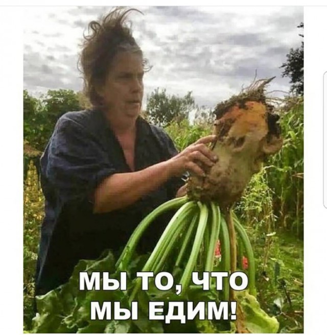 Вечер пятницы подкатил, час картинок наступил!