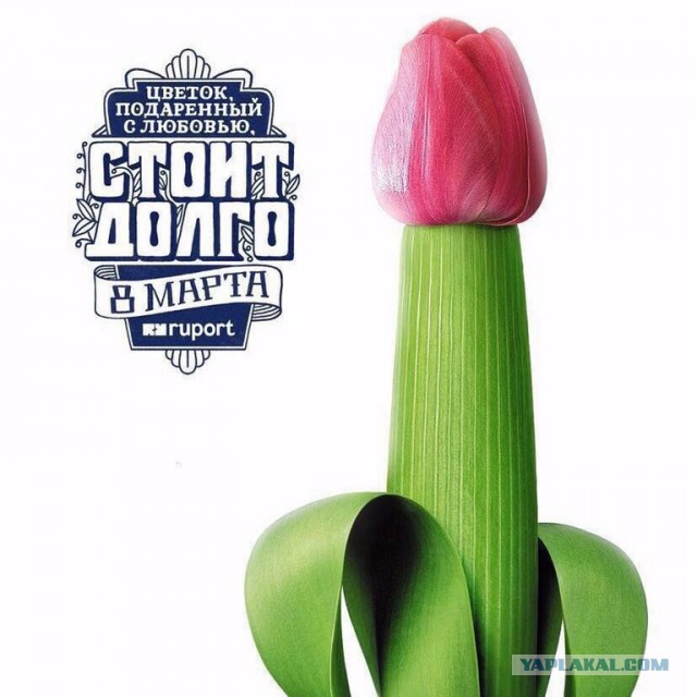 Самка возмущается, что мужики на форумах пишут