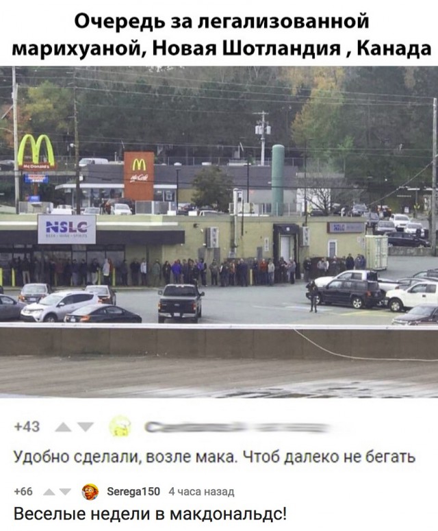 Девочка в Канаде пришла продавать печенье к магазину с марихуаной. 30 пачек разошлись за 45 минут