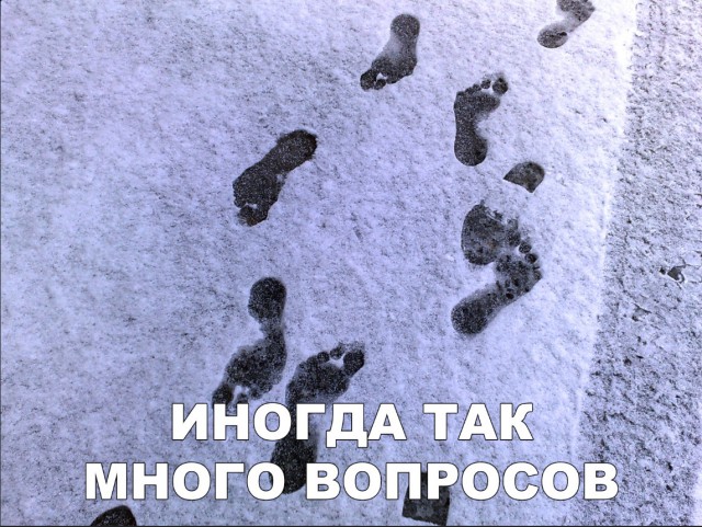 Прикольные картинки абавсём