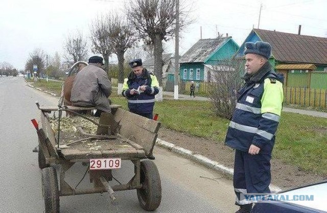 Картинок вам на субботний вечер