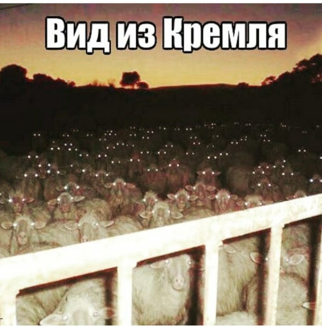 Как так получилось? (циничный пост безысходности)