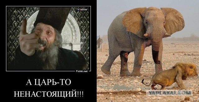 Не ходите дети в Африку гулять