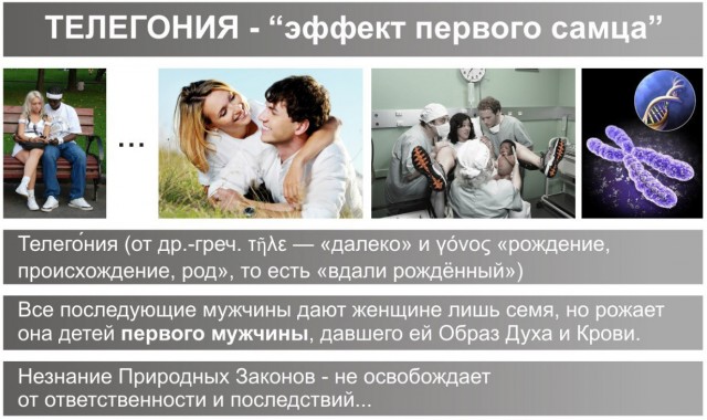 Зацените, какое чудо раздали в школе