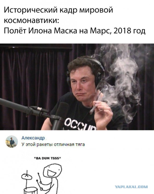 Под Петербургом полиция обнаружила плантацию конопли