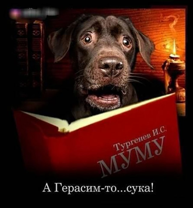 Бредзона 20.05.2020