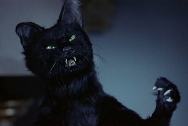 Программа cat.exe столкнулась с неопределенным поведением