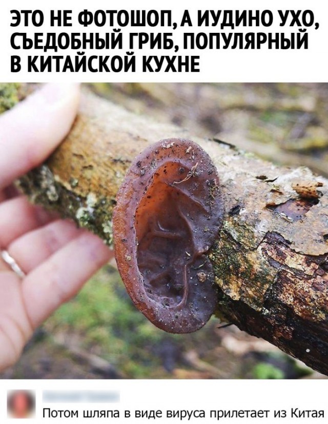 Прикольные и просто красивые картинки 22.10.2020