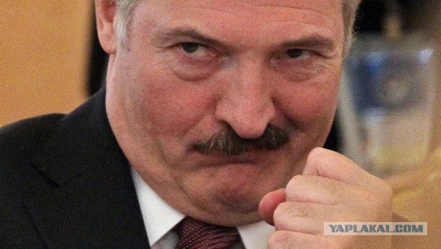 Лукашенко пригрозил протестующим решительными действиями