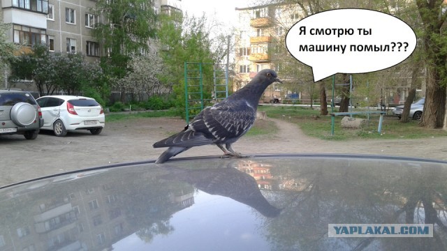Замёрз, болезный? Иди - согрею