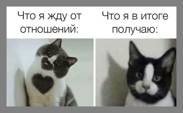 Веселые истории о нас №237