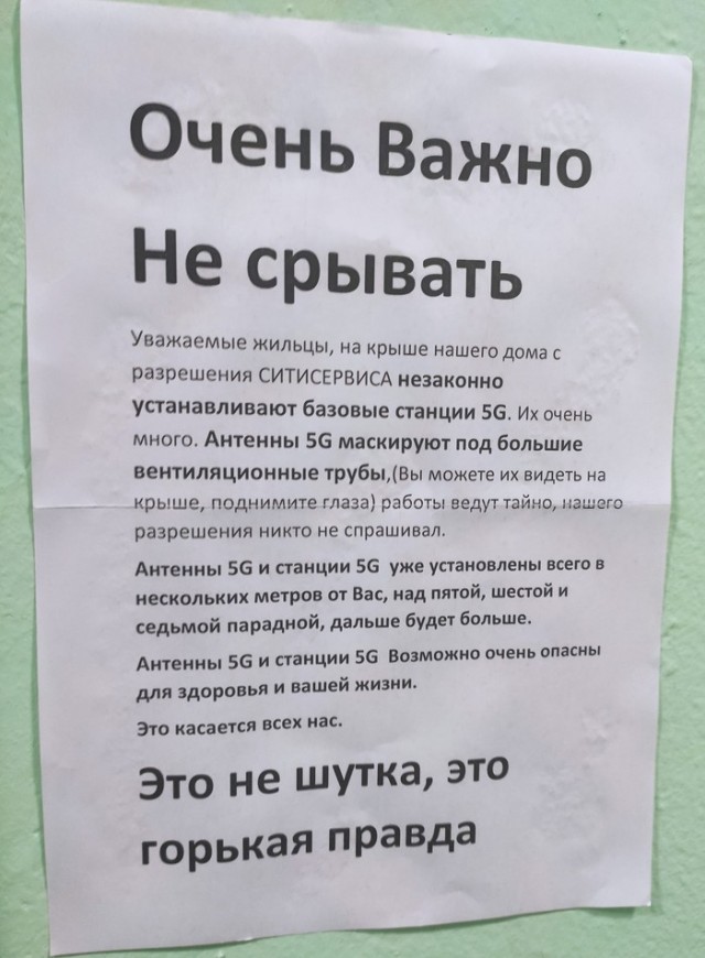 Сотня картинок для настроения 25.12.2020