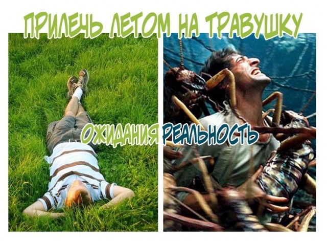 Весёлый полтишок 17.02