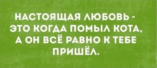 Картинки и мемы для настроения 13.04.2021