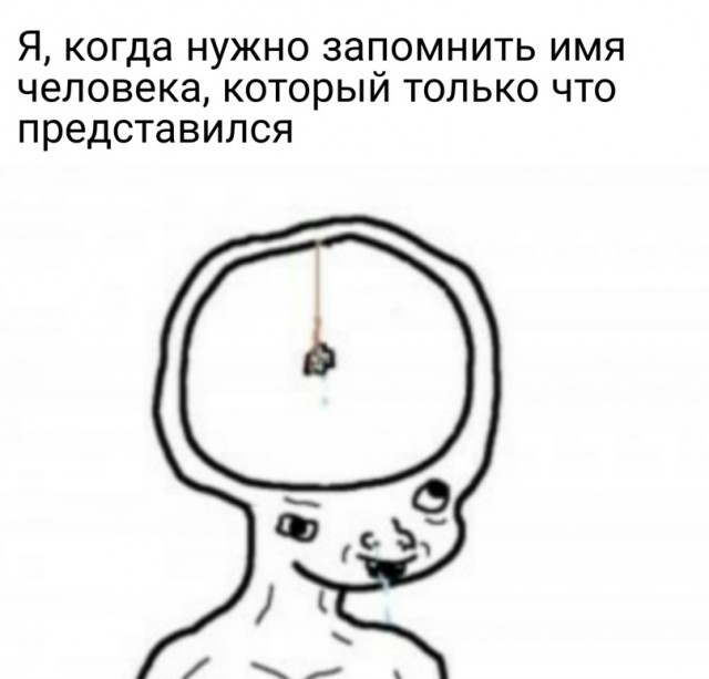 Весёлый полтишок 19.04