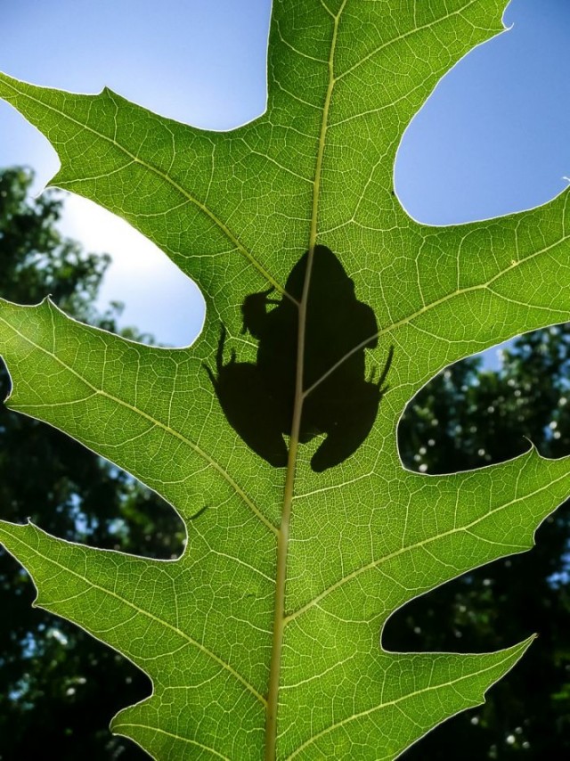 Картинки и мемы для настроения 05.08.2021