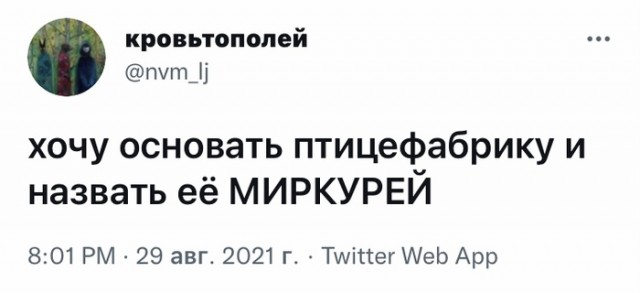 Весёлый полтишок 31.08