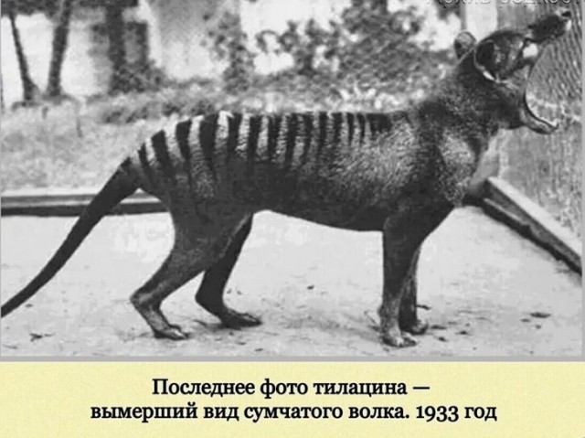 Фотографии с богатым историческим прошлым