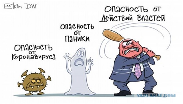 Гинцбург назвал граждан, с которых можно снять COVID-ограничения 