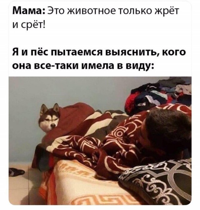 Баянисто-небаянистый юмор 28.12.21