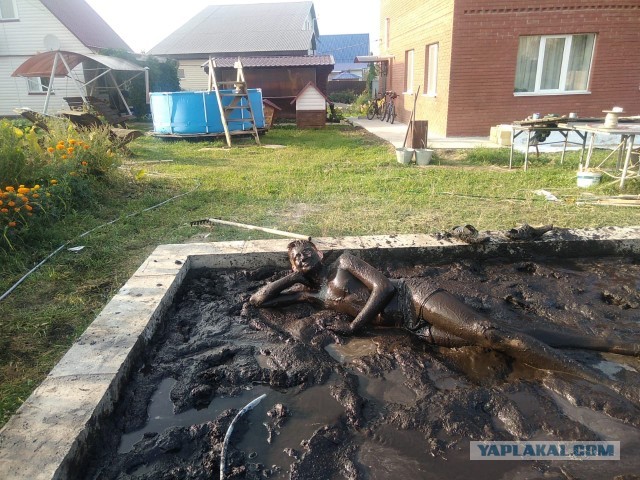 Курятник «ЛЮКС» класса. Работа над ошибками, спустя два года