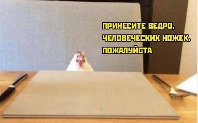 Дурацкие картинки