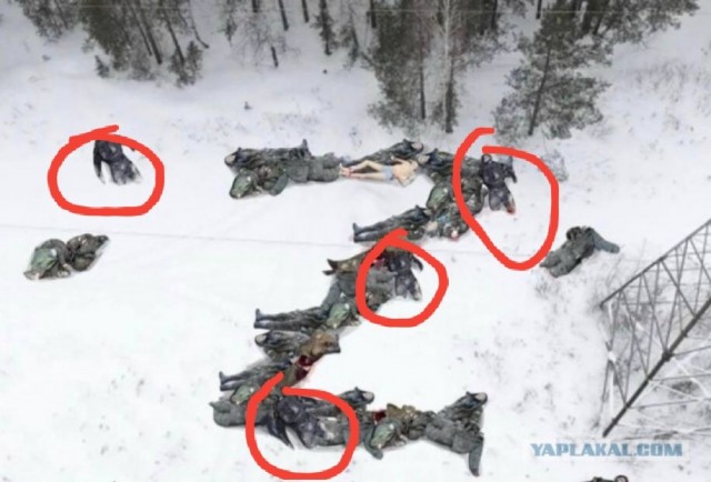 Просто картинки
