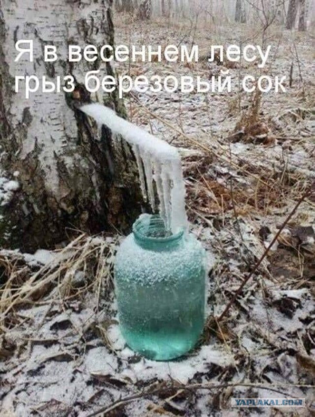 В Питере весна!
