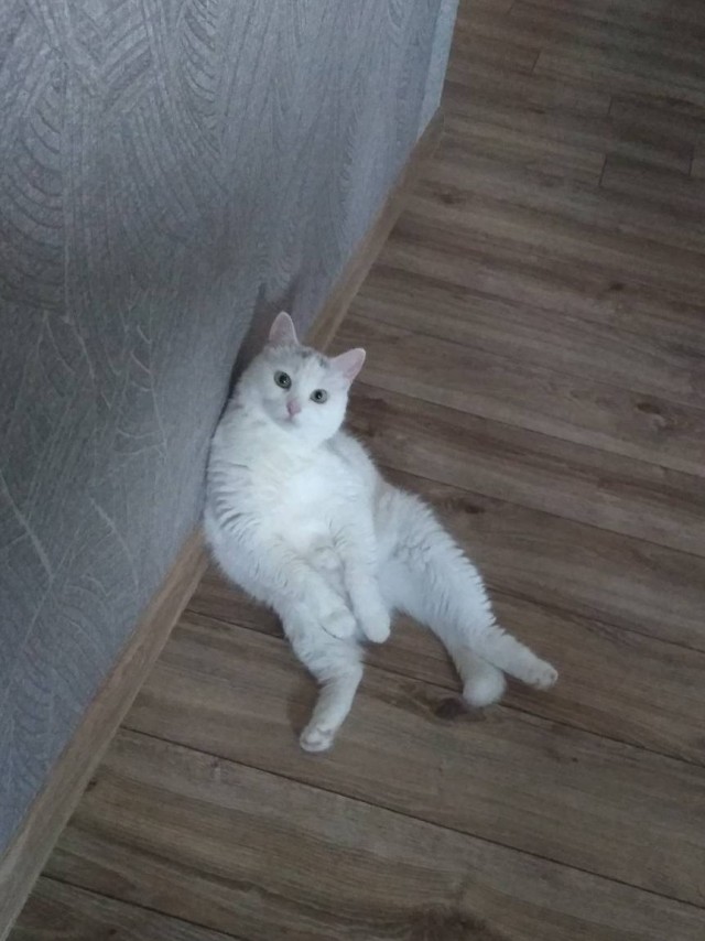 А что, уже вторник?