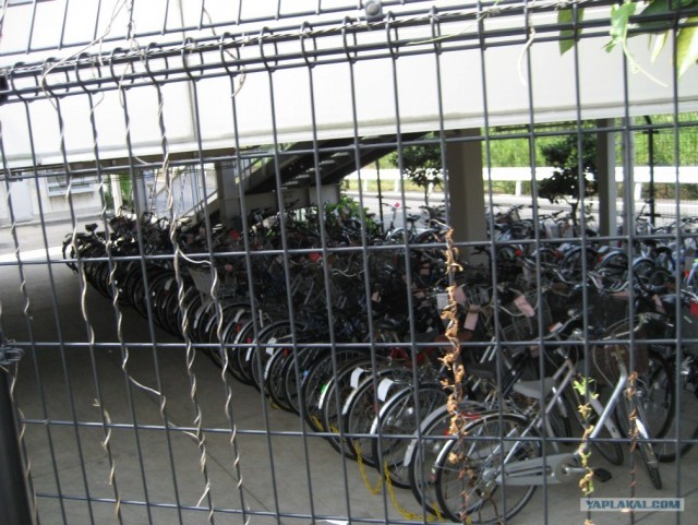 Далёкая Япония