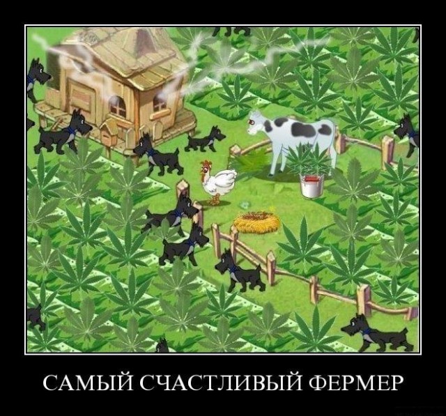 Прикольные и просто красивые картинки 25.10.2022