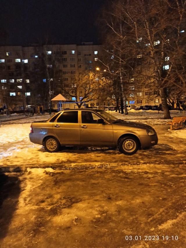 О дятлах и голубях