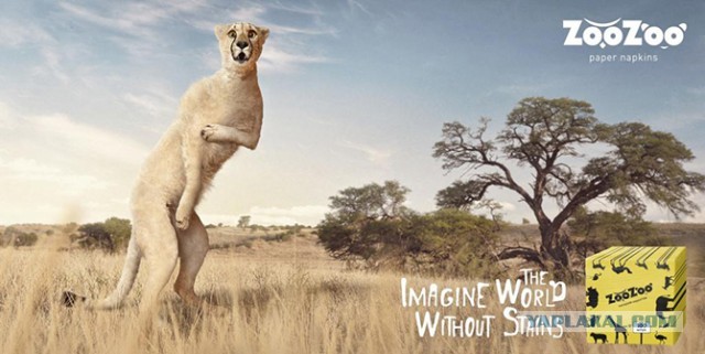 Оставьте свои заботы позади