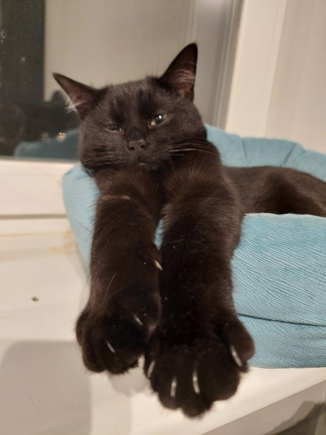 Вот он, герой, и ему ни капли не стыдно