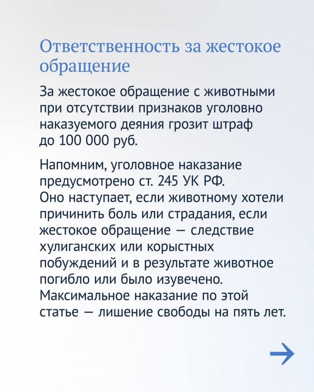 За жестокость к животным и избавление от питомцев могут установить крупные штрафы