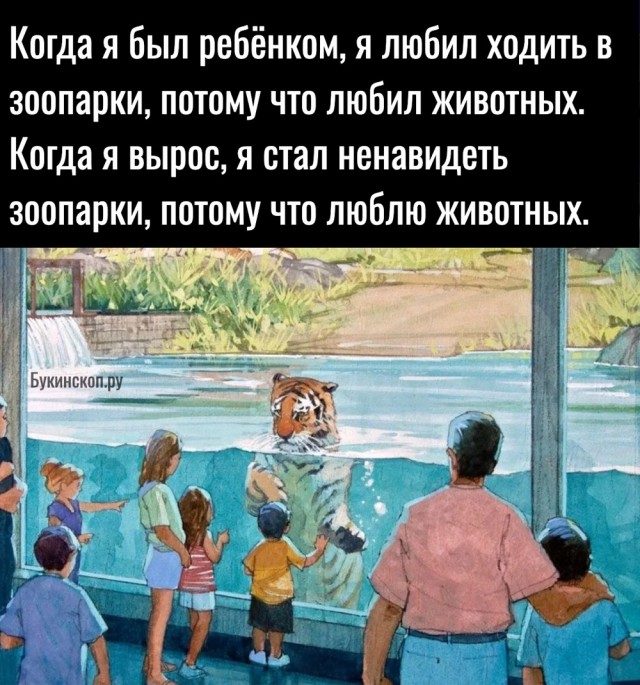 Так себе картинки 01.08.23