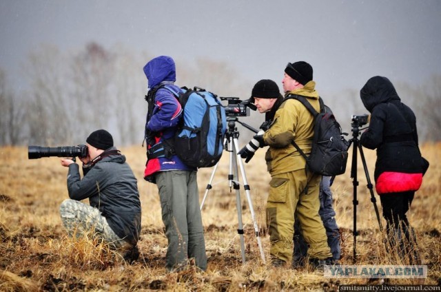 Морпехи ТОФ «дали жару»