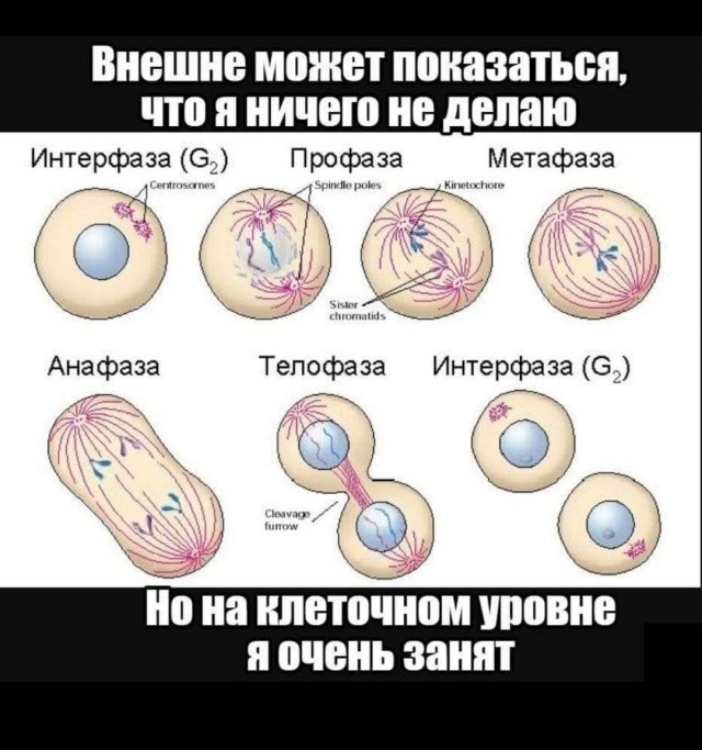 Пятничное улыбательное.