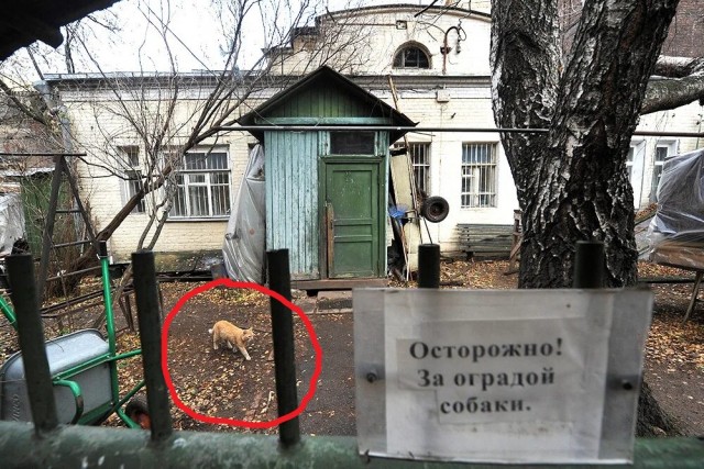 У метро «Новослободская» продают старинный деревянный дом за 500 миллионов рублей.